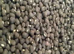 Kashmiri Urad dal